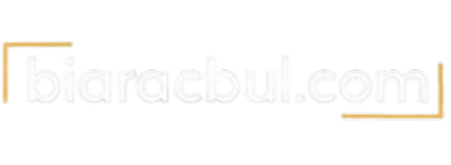 Bi Araç Bul